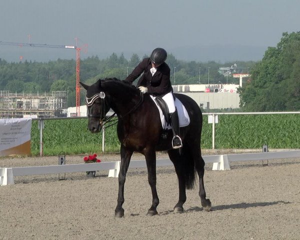 Reitturnier Jettingen 2021