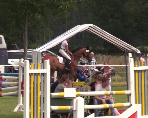 Reitturnier Kellinghusen 2021