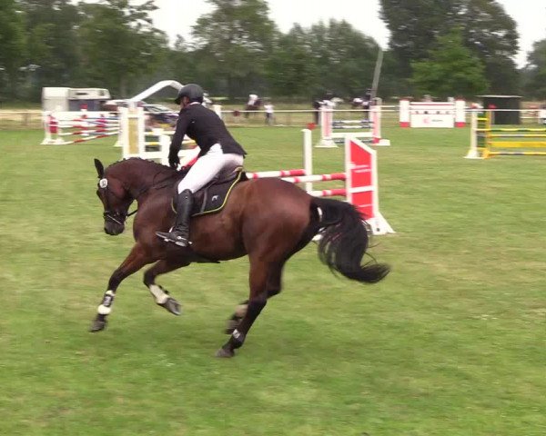 Reitturnier Kellinghusen 2021