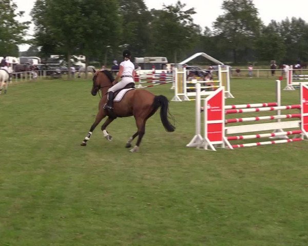 Reitturnier Kellinghusen 2021