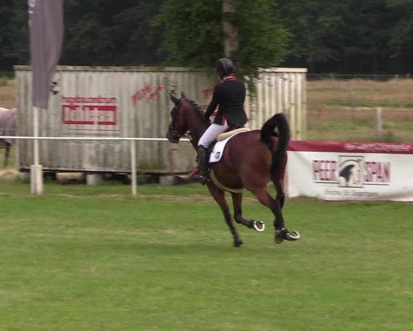Reitturnier Kellinghusen 2021