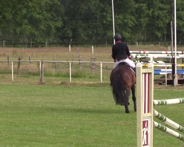 Reitturnier Kellinghusen 2021