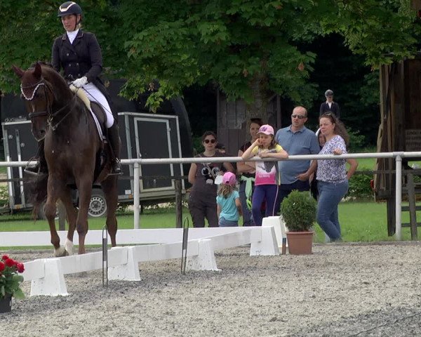 Reitturnier Jettingen 2021