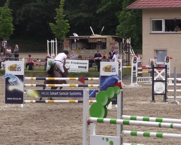 Reitturnier Lgl.-Oberhain, B95 2021