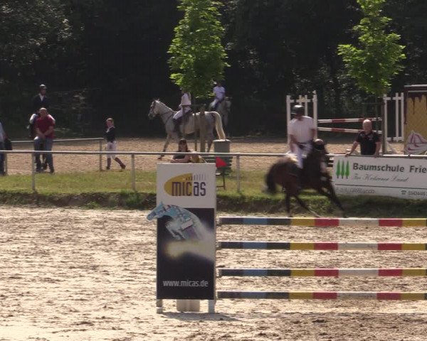 Reitturnier Lgl.-Oberhain, B95 2021