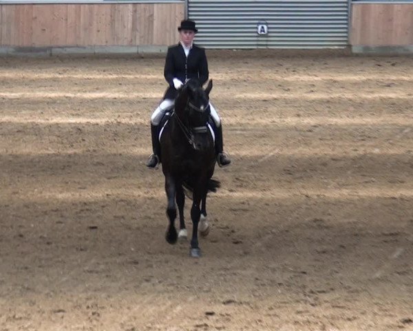 Reitturnier Rhede 2021