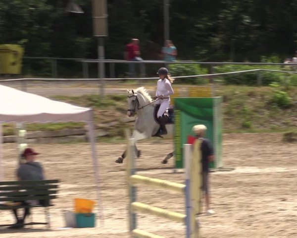 Reitturnier Lgl.-Oberhain, B95 2021