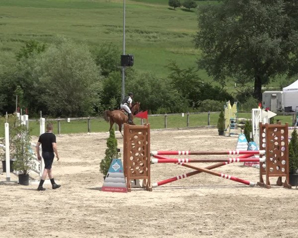 Reitturnier Rothenfluh 2021