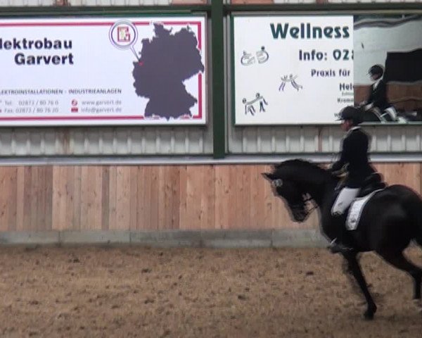 Reitturnier Rhede 2021
