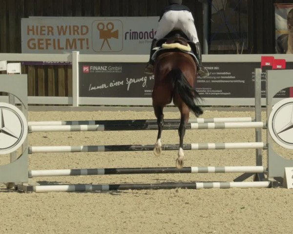 Springturnier Memmingen 2021