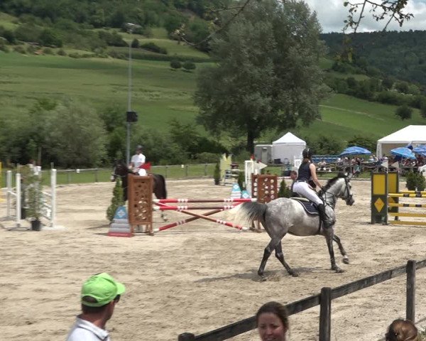 Reitturnier Rothenfluh 2021