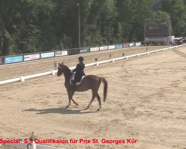 Reitturnier Uder, Reitanlage Kobold 2021