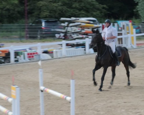 Reitturnier Oberkaufungen 2021