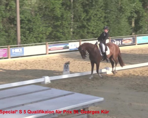 Reitturnier Uder, Reitanlage Kobold 2021