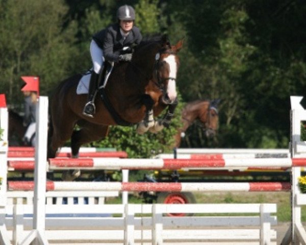 Springpferd Odessa 147 (Holsteiner, 1999, von Candillo Z)