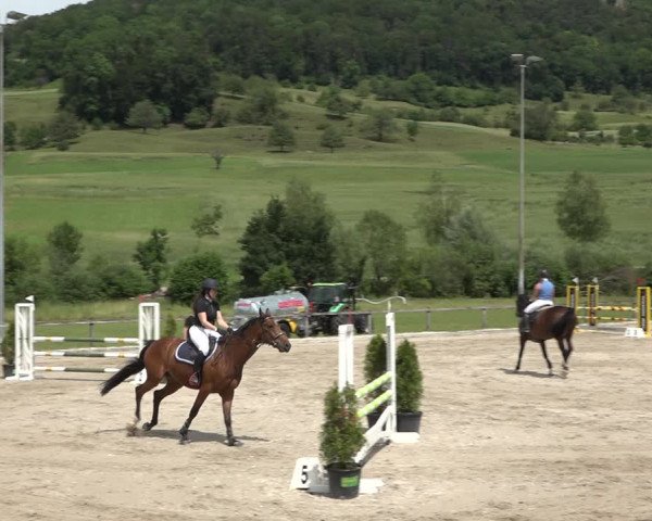 Reitturnier Rothenfluh 2021