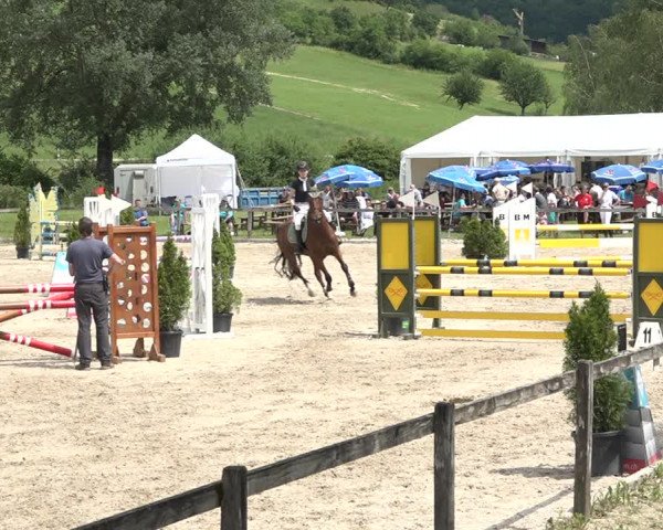 Reitturnier Rothenfluh 2021