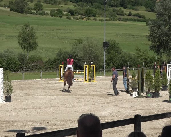 Reitturnier Rothenfluh 2021
