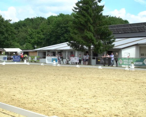 Reitturnier Bad Marienberg - OT Nisterau 2021