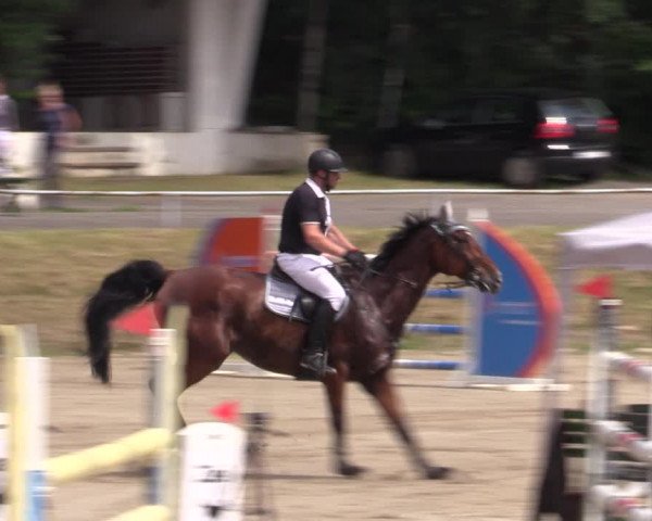 Reitturnier Lgl.-Oberhain, B95 2021