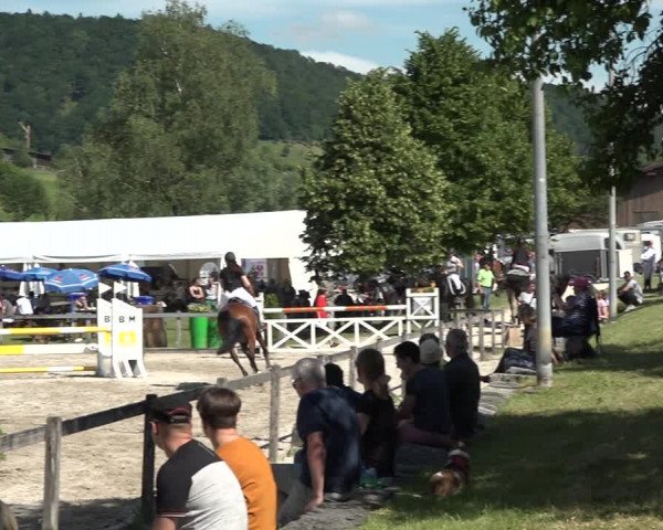 Reitturnier Rothenfluh 2021