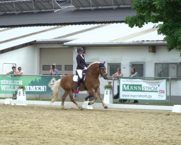 Reitturnier Bad Marienberg - OT Nisterau 2021
