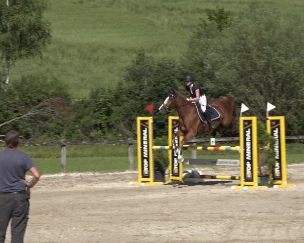 Reitturnier Rothenfluh 2021