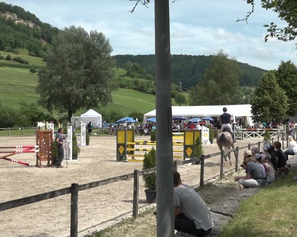 Reitturnier Rothenfluh 2021