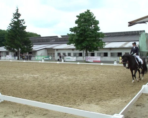 Reitturnier Bad Marienberg - OT Nisterau 2021