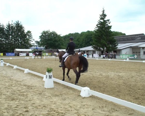 Reitturnier Bad Marienberg - OT Nisterau 2021