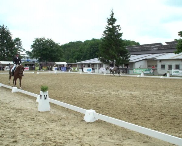 Reitturnier Bad Marienberg - OT Nisterau 2021