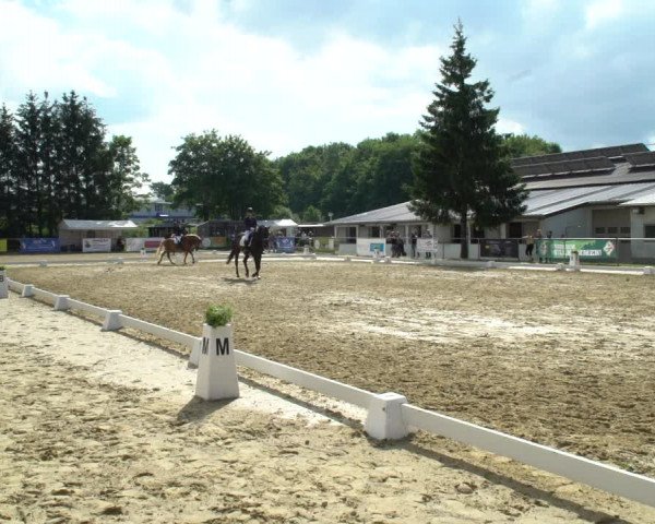 Reitturnier Bad Marienberg - OT Nisterau 2021