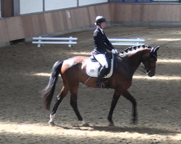 Reitturnier Rhede 2021