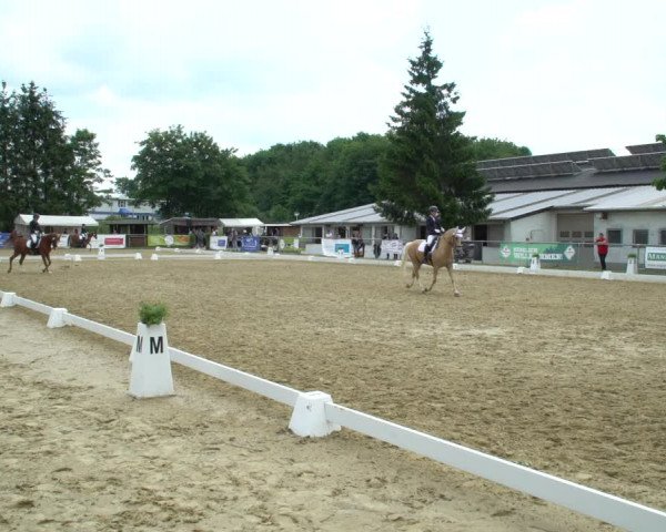 Reitturnier Bad Marienberg - OT Nisterau 2021