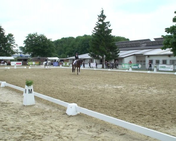 Reitturnier Bad Marienberg - OT Nisterau 2021