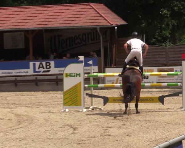 Reitturnier Lgl.-Oberhain, B95 2021