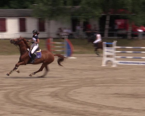 Reitturnier Lgl.-Oberhain, B95 2021