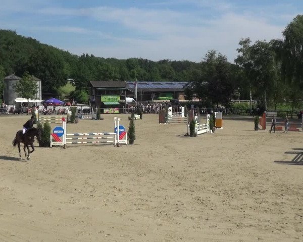Reitturnier Schwerte-Gut Kückshausen 2021