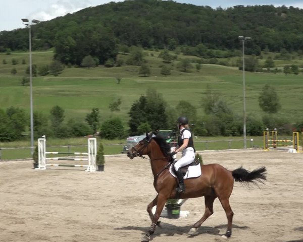Reitturnier Rothenfluh 2021