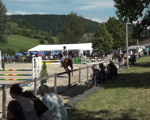 Reitturnier Rothenfluh 2021