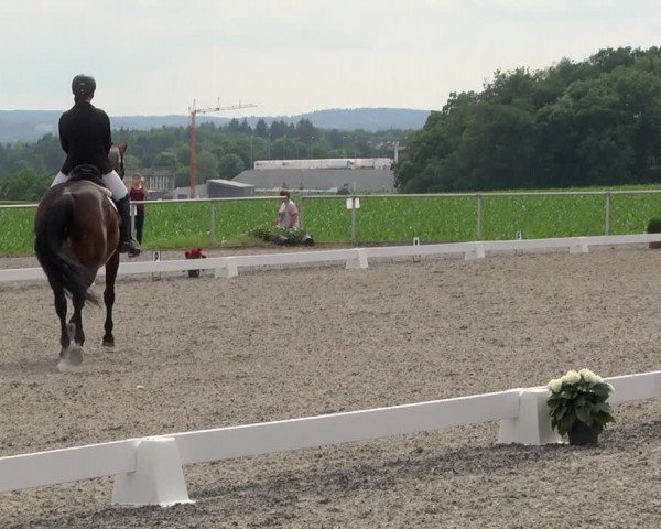 Reitturnier Jettingen 2021