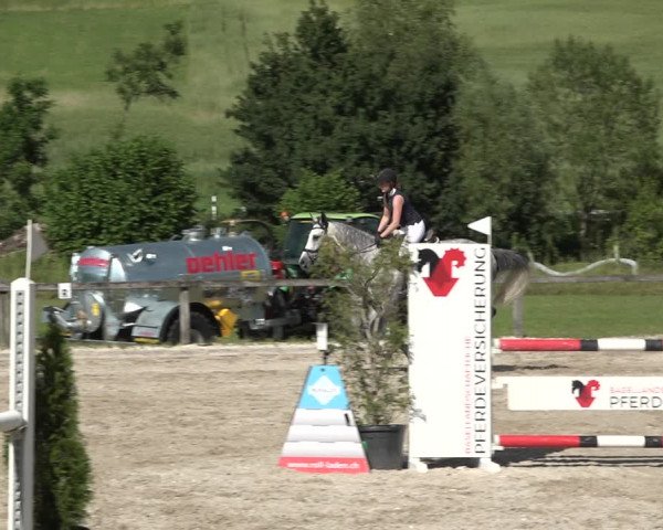 Reitturnier Rothenfluh 2021