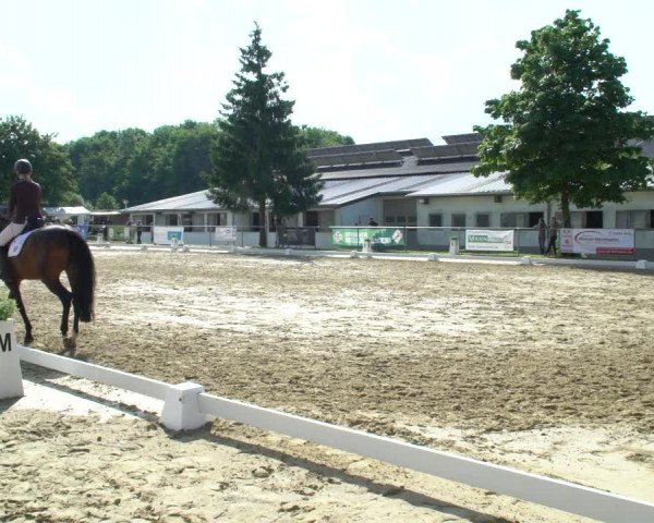 Reitturnier Bad Marienberg - OT Nisterau 2021