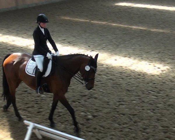 Reitturnier Rhede 2021