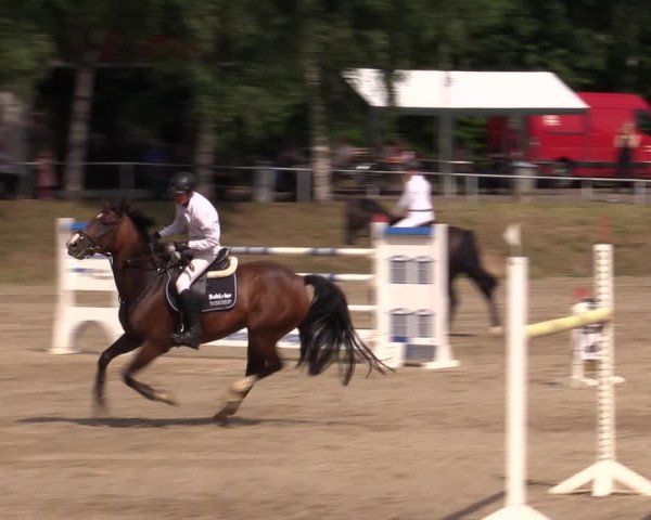 Reitturnier Lgl.-Oberhain, B95 2021