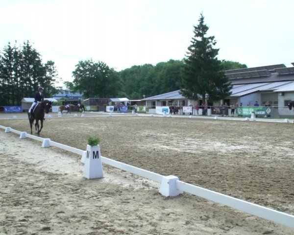 Reitturnier Bad Marienberg - OT Nisterau 2021