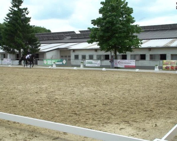 Reitturnier Bad Marienberg - OT Nisterau 2021