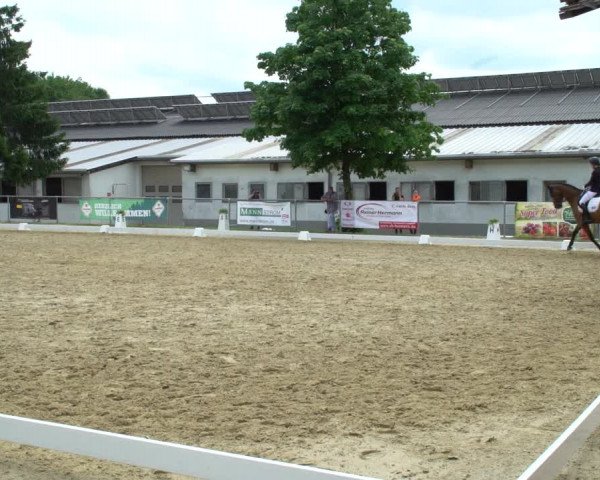 Reitturnier Bad Marienberg - OT Nisterau 2021