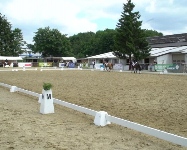 Reitturnier Bad Marienberg - OT Nisterau 2021