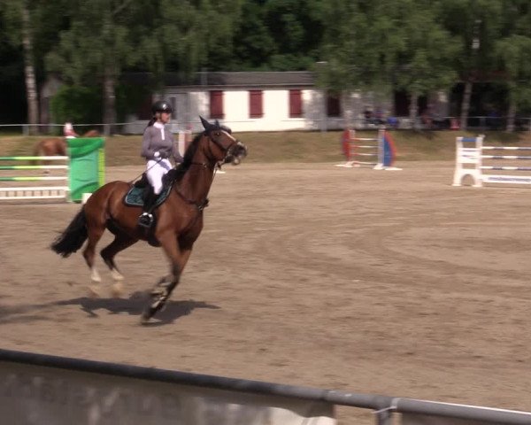 Reitturnier Lgl.-Oberhain, B95 2021